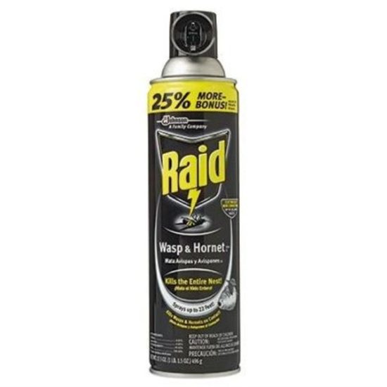 Raid 17.5 Oz. Liquid Aerosol Spray Wasp & Hornet Killer