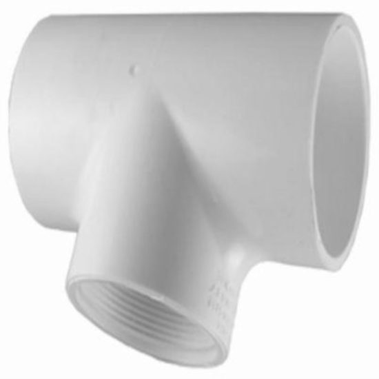 Charlotte Pipe 1-1/2 In. Solvent Weld x FIP Schedule 40 PVC Tee